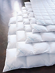 Donzen allyeardekbed