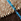 bruin/beige